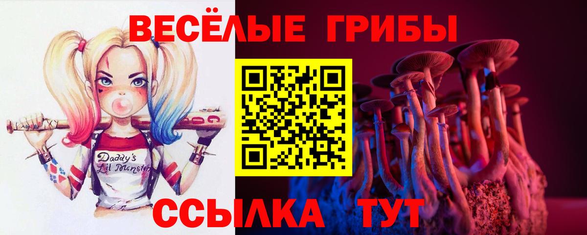Галлюциногенные грибы Magic Shrooms Горячий Ключ