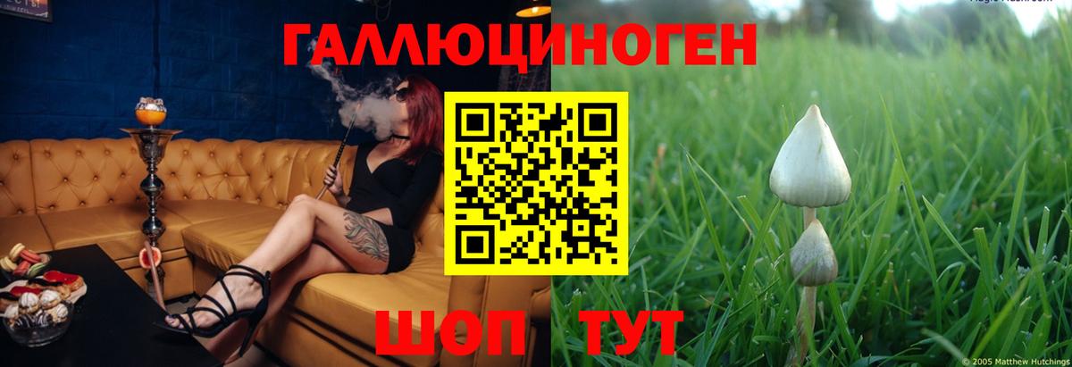 Псилоцибиновые грибы Cubensis  Псилоцибиновые грибы Psilocybe  магазин продажи наркотиков  Горячий Ключ  Вход с VPN 